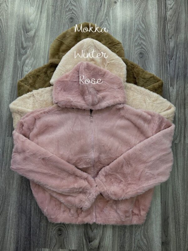 TEDDY POM - Imagen 3