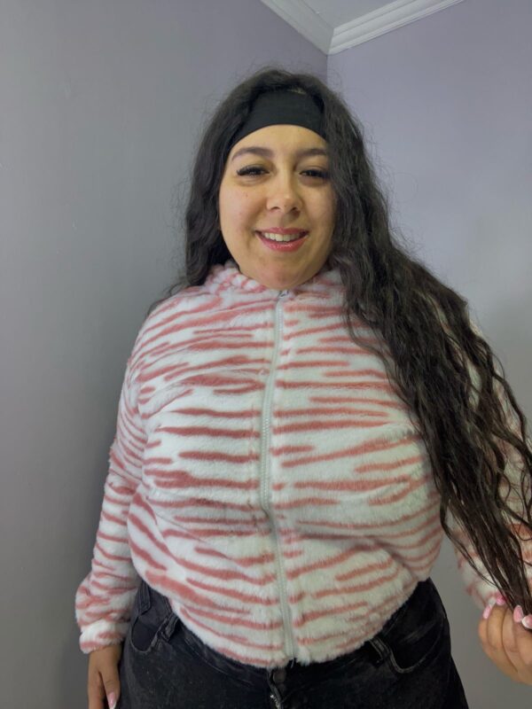 TEDDY ZEBRA